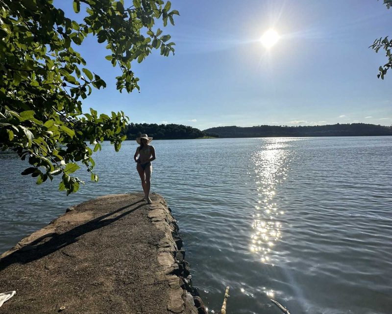 IMG 1753