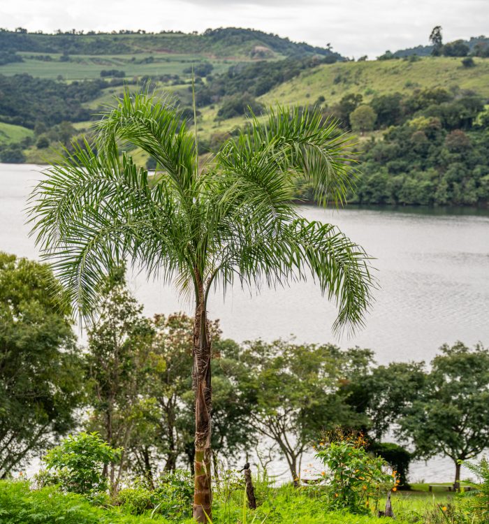 fds casais pousada do alagado 67